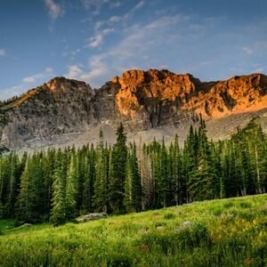 Buy Digital Image Picture Photo Wallpaper Background Desktop AI Art Sample Product – Best Price & Deal Buy Digital Image Picture Photo Wallpaper Background Desktop AI Art Sample Product – Best Price & Deal