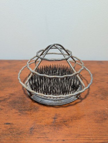 Buy Stem Dye For Fresh Cut Flowers – Best Price & Deal - Image 10