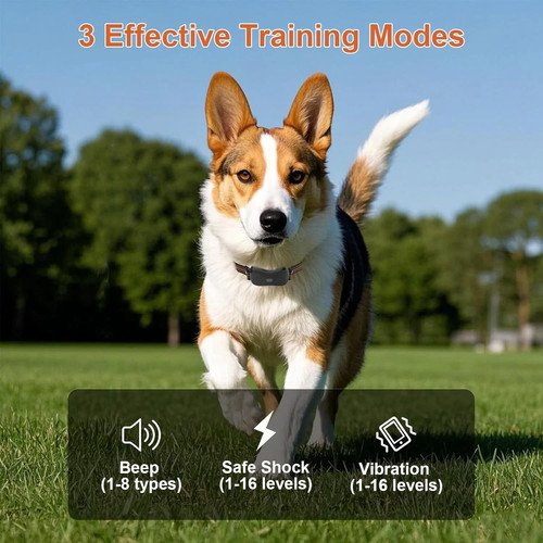 Buy 3300FT Shock Dog Training Collar For 2 Pet Rechargeable Remote Waterproof – Best Price & Deal - Image 2