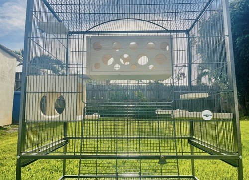 Buy 7 Set with Leap Through and Peekaboo Hiedouts & Pine Ledges for Chinchillas Rats – Best Price & Deal - Image 2