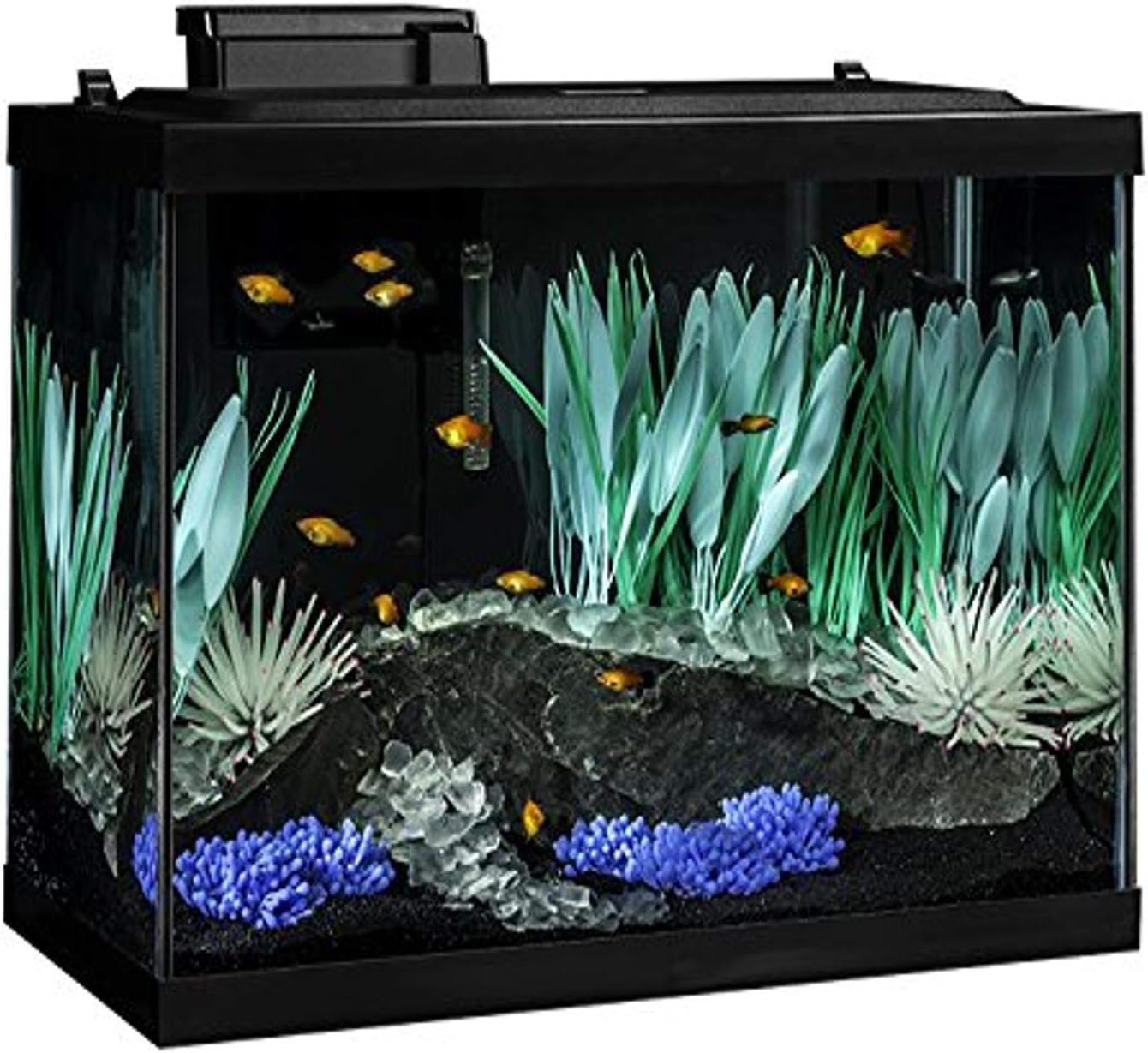 Tetra ColorFusion Aquarium 20 Gallon Fish Tank Kit, Includes LED Lighting and Decor - Image 2