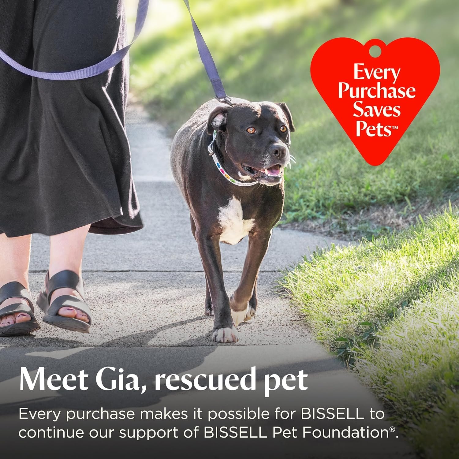 Bissell Pet Hair Eraser Allergen Lift-Off with Powerful Suction, HEPA, Tangle-Free Brush Roll, 39883 - Image 7