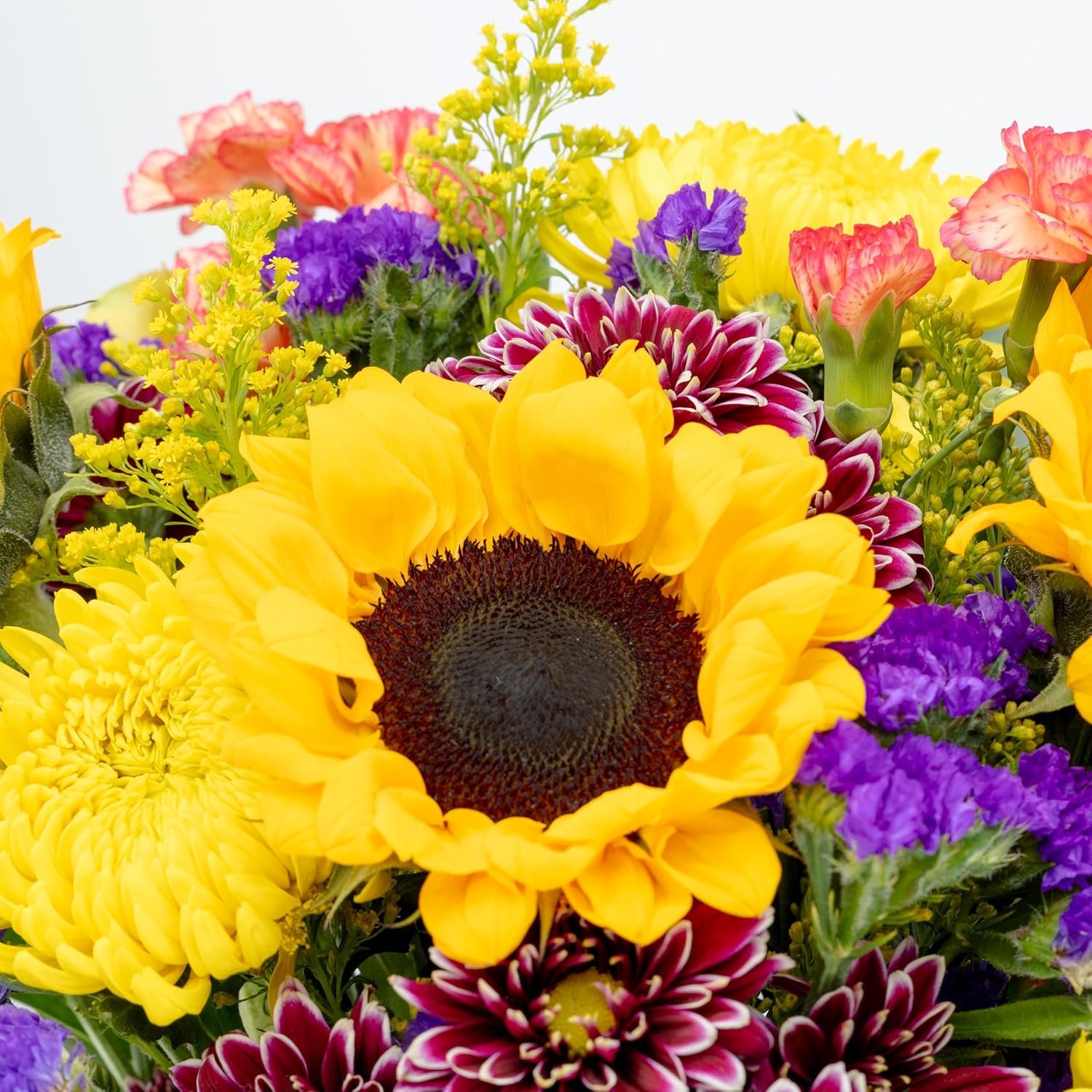 Benchmark Bouquets - Flowering Fields Sunflower Bouquet - Fresh Flowers for Delivery - Real Flowers in a Vase - Birthday Flowers for Women - Congratulations Gift (Glass Vase Included) - Image 5