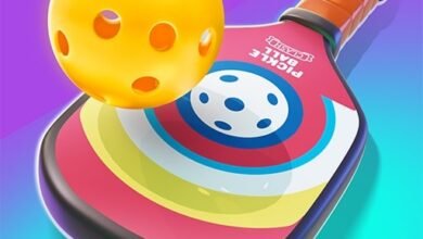 Pickle Ball Conflict