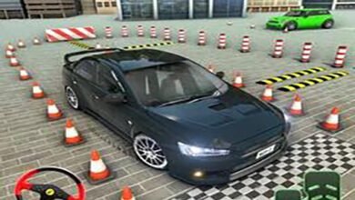 Parking Skilled: Driving Examination