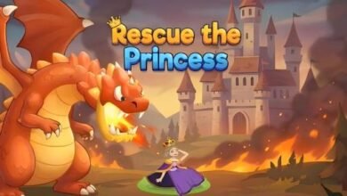Rescue The Princess