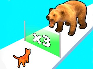 Cat Evolution Cat Evolution